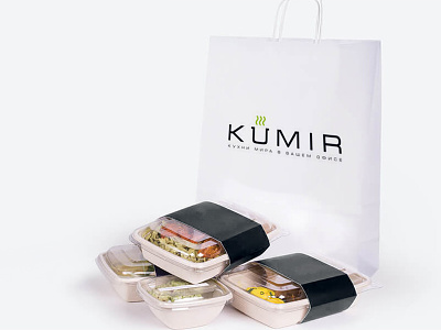 Design of the site for Kumir design site design web design