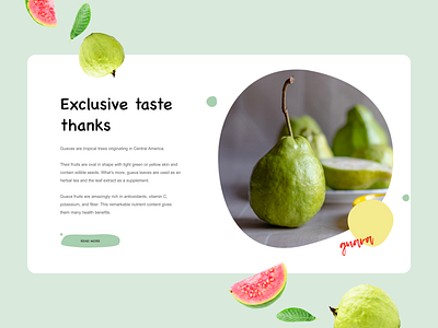 WinWay. Product page clean color composition design e commerce food guava inspiration product page simple ui typography ui uiux web webdesign website