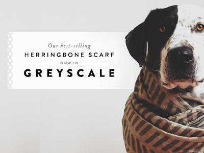 Herringbone animal block shop dog email greyscale marketing scarf web banner
