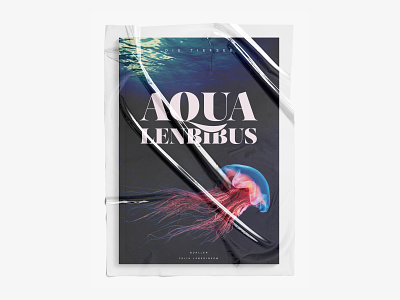 Aqua Lenbibus – Magazine berlin composition cosmos cover deepsea jellyfish magazine minimal photography picture sea splash teaser ui underwater water