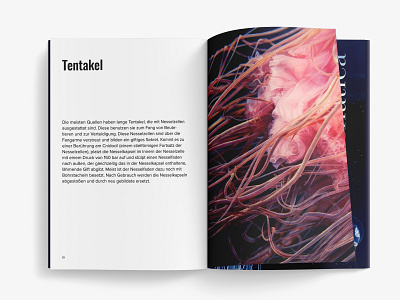 Tentacle berlin deepsea fish golden ratio jellyfish magazine minimal nature ocean pattern sea surf tentacle ui underwater