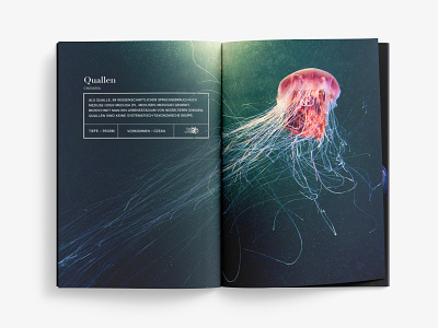 The art of jellyfish badge berlin dark deepsea fish jellyfish magazine ocean photogtaphy tag ui underwater