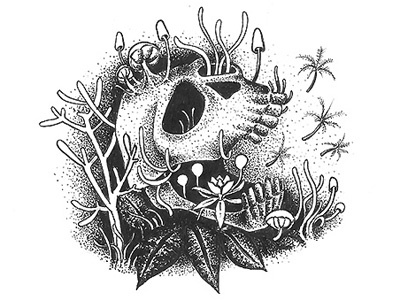 Comigo-ninguém-pode illustration quirino sketch skull