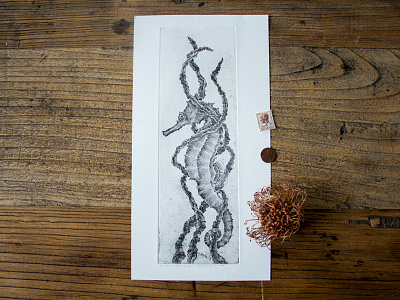 Seahorse etching fish ocean printmaking seahorse