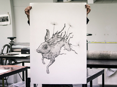 Hare Dandelion animal artprint dandelion etching hare nature poster print printmaking studio