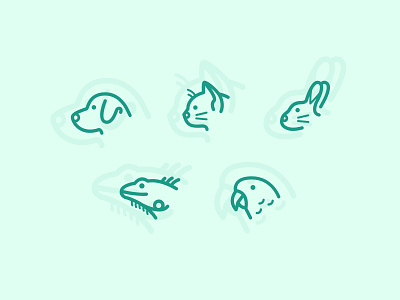 Pet Icons bird cat color design dog icons icons set illustrations mighty pet ui web web design