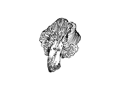 Mushroom with identity art colour design illustration line pin vector
