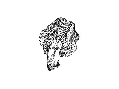 Mushroom with identity