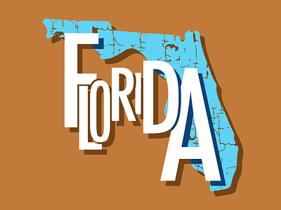States Florida florida shape states texture type