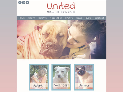 United. Animal Shelter & Rescue layout layout design web design web mockup website design