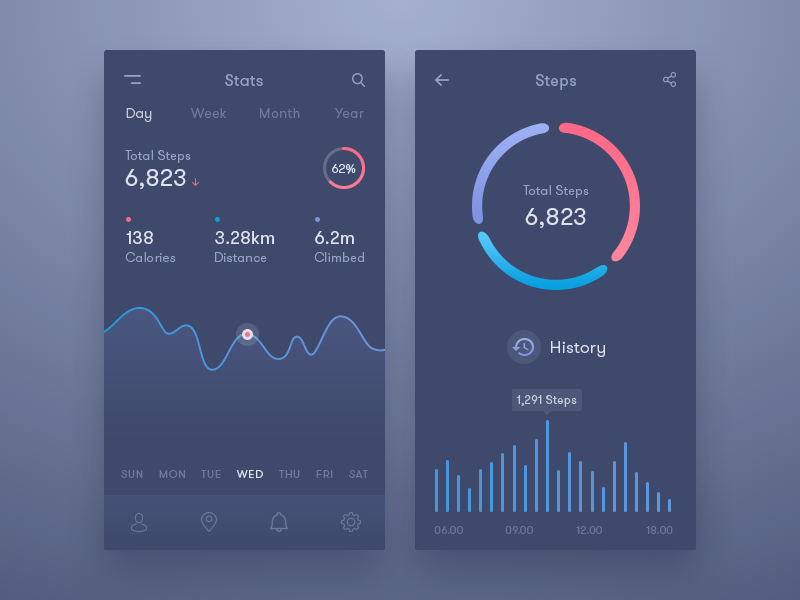 Stats & Steps by Ravi Kumar Prajapati on Dribbble
