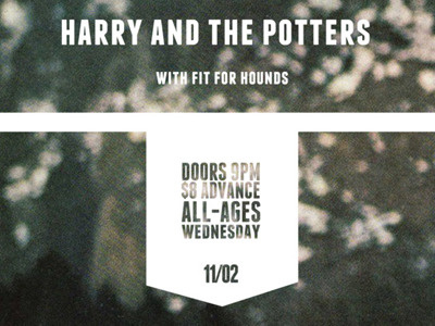 Harry and the Potters design graphic design poster poster art typography