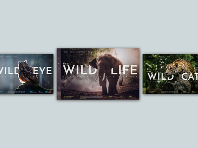 Adventure in the Forest designing forest illustrator photography ui user experience user interface ux visual wildlife