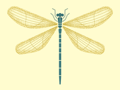 Dragonfly bug design dragonfly illustration illustrator