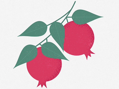 Pomegranate design fruit graphic graphics illustration illustrator print vector