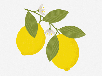 When life gives you lemons... make lemonade! design floral flowers fruit graphic graphics illustration illustrator leaf leaves lemon pattern print vector