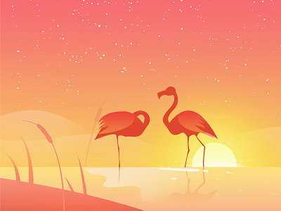Sunset and flamingo