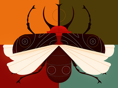 Beetle beetle bug grain insect texture wings