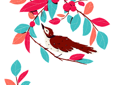 Bird and Berries