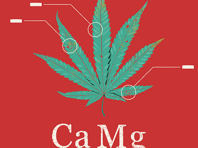 Calcium Magnesium Nitrate+ branding cannabis grain label leaf logo texture weed