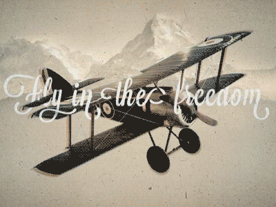Freedom design film fly gif grain plane type typography vintage