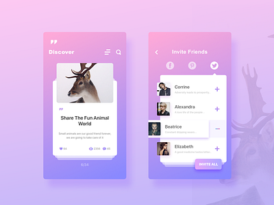 Animal lovers exchange ui ux 界面 设计