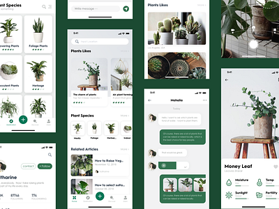 About plant a App2 app concept icons plant service sketch ui ux 应用 界面 设计