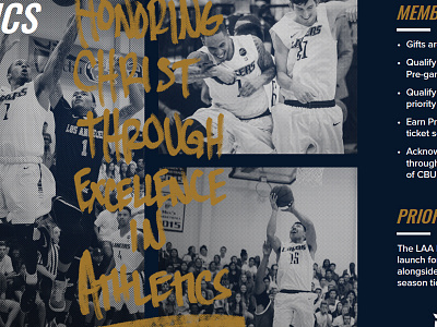 Basketball Brochure basketball halftone hand lettering texture