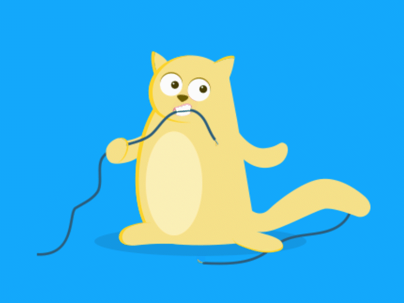 No internet Animation animation cat error ichu illustration lottiefiles love no internet oops sru thy