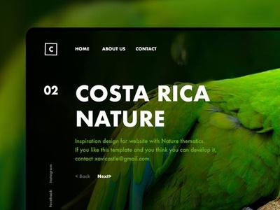 Costa Rica Nature branding design ui web website
