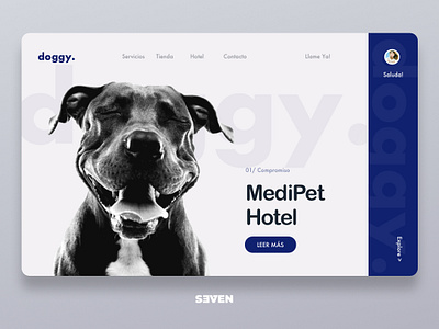 Interface design for veterinary clinic design logo ui web website