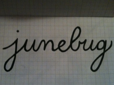 junebug lettering script sketch