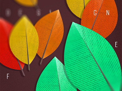 Autumn Leaves autumn botanic fall illustration illustrator leaves monica siguenza plant season seasonal tree