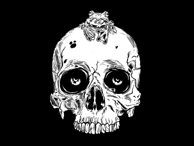 Skull&Frog dibujo draw illustration musicfestival poster posterdesign skull