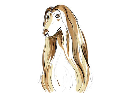 Dog Days of Fall, Day 1: Afghan Hound digital digital painting dogs illustration lines