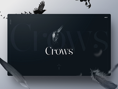 Animal Landing page : Crow animals birds black theme crow design inspiration graphic homepage landing page ui web design webdesign webpage