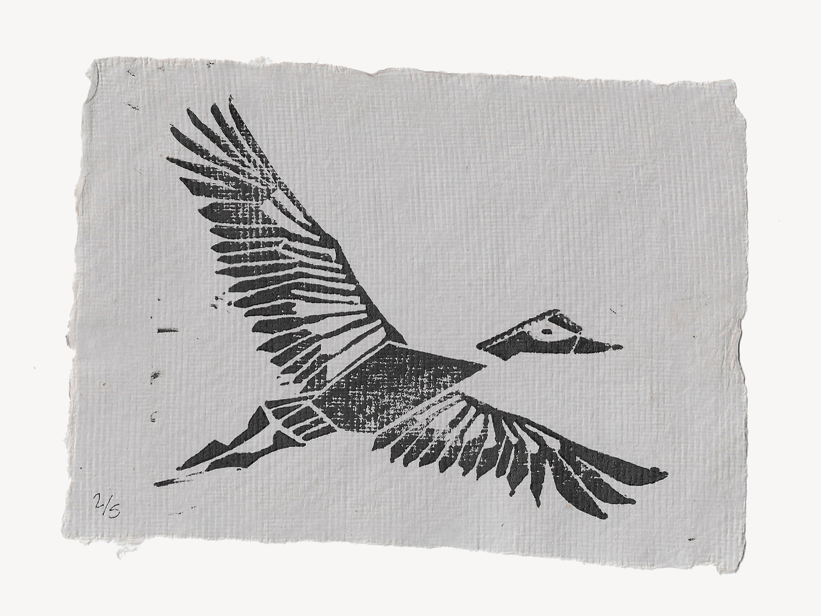 Goose Print by Ashley Armstrong on Dribbble