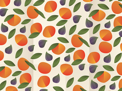Figs & Citrus fruit illustration