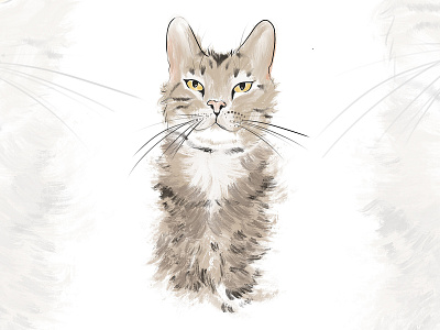 Digital Cat Illustration cat cats digital painting illustration illustration digital painting