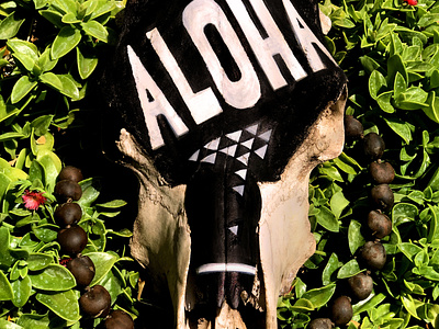 Aloha Dribble illustration lettering painted typography