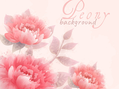 Peony Background background design illustration peony