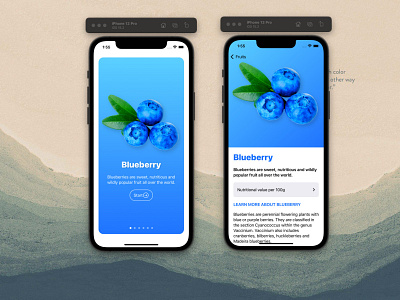 Fruits - iOS App with SwiftUi and Xcode animation graphic design ui