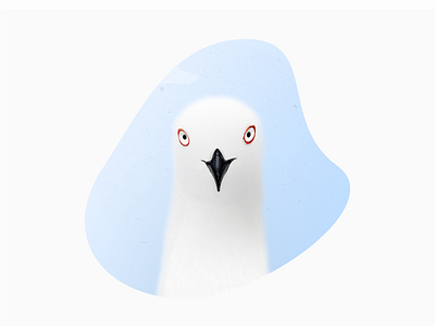 Look Face To Face drawing eyesight illustration painting seagull ui zklm0000