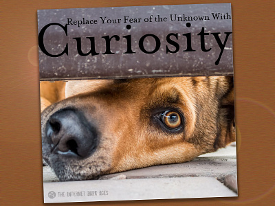 Curiosity Quote Meme