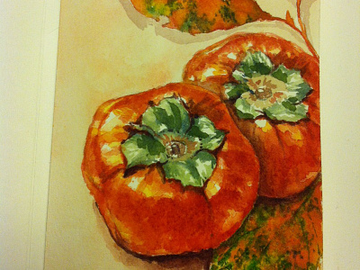 Persimmon