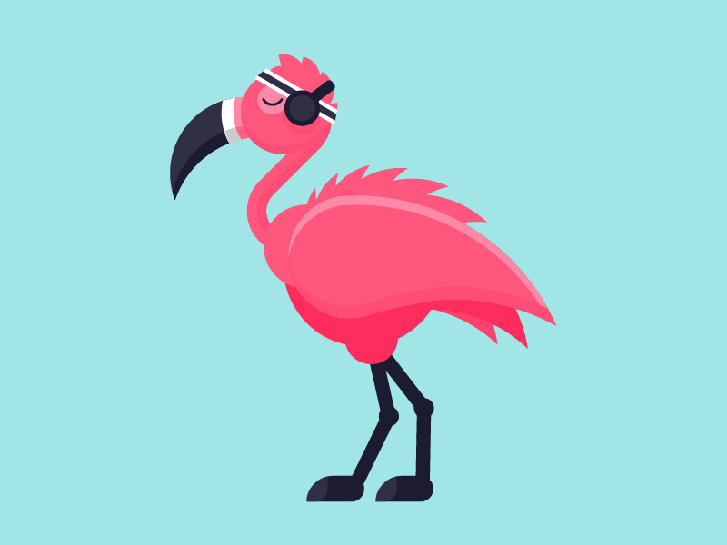Flamingo flamingo illustration vector