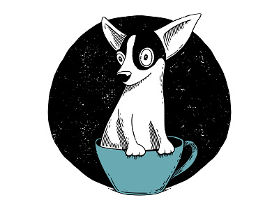 Teacup Chihuahua