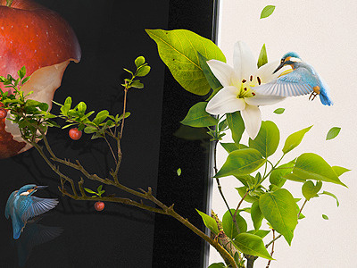 iLive Magazine apple birds flowers ipad leaves trees