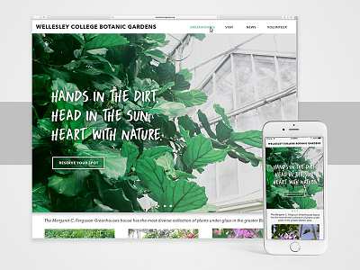 Daily UI 03 - "Above the Fold" daily daily ui greenhouse iphone landing ui ux website
