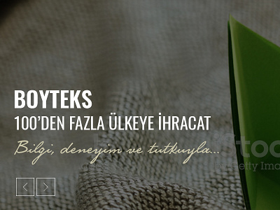 Boyteks Web sayfası Tasarımı design textile website